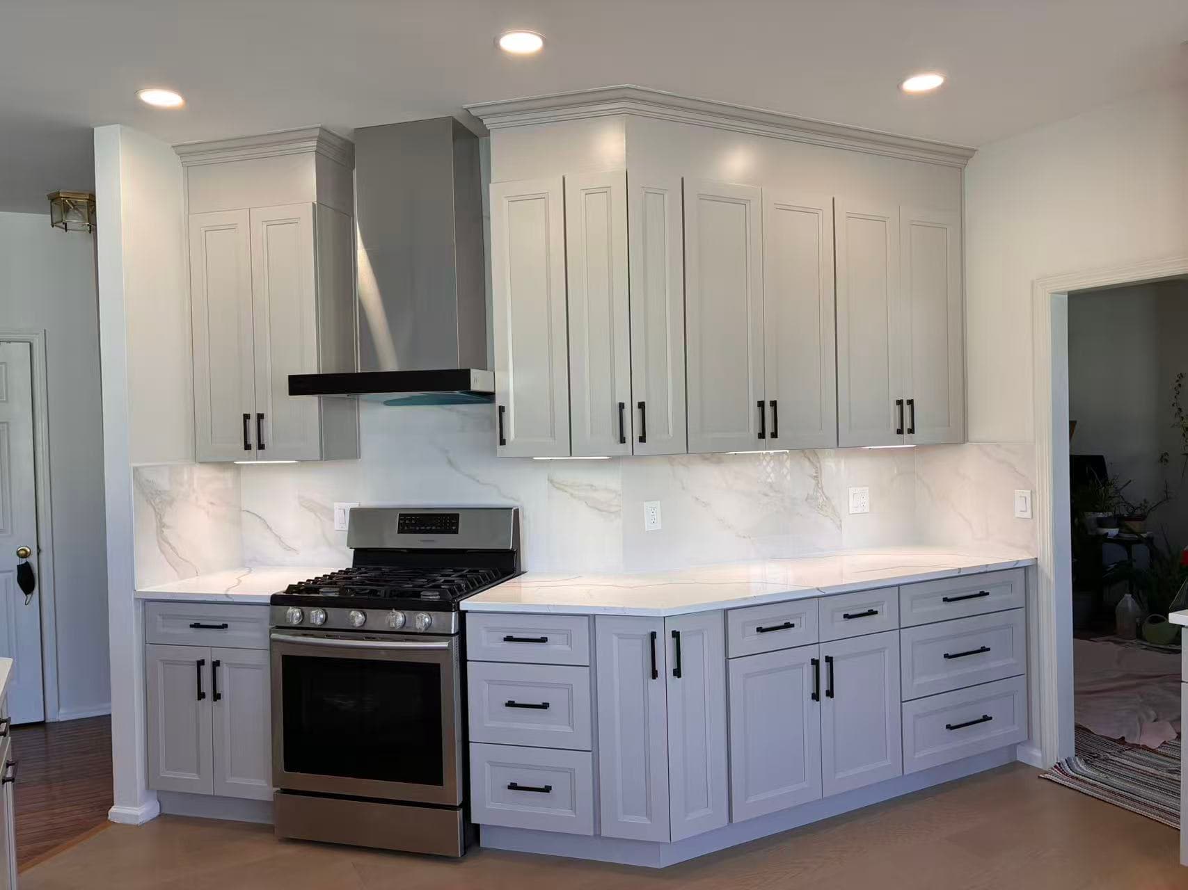 Kitchen project photo 1